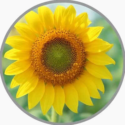 il7xjuF4aq7158's profile picture. 投資2年目。2024年2月松井証券でオルカン積立開始。同年9月マネックス証券がｄポイント利用可能にしたため、マネックス証券でS＆P500積立開始。積立金額は2対1の割合。日本株は現物のみ。ダイレクトメッセージには返信しません。金融アドバイスではありません。