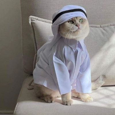 shaikhsaaahab's profile picture. 