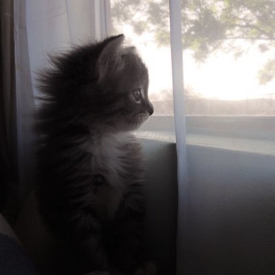 xdxdxd123ewg's profile picture. 