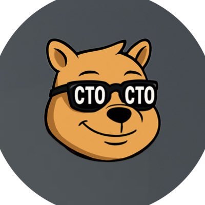 WYNNPOOH_CTO's profile picture. CTO — full Wynnpooh mode. We’re building heat, pushing momentum, and locking in James Wynn’s attention. No hesitation. Just straight movement. #XRPL $WYNNPOOH