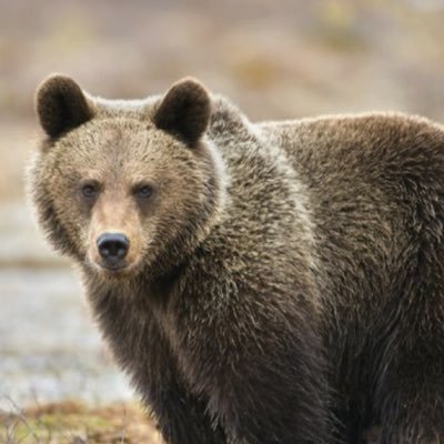 Kaneco08041621's profile picture. The best tool you can have is the ability to predict.