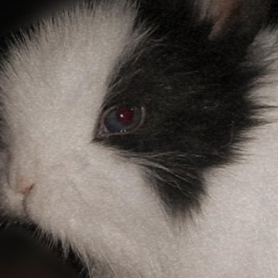 ElonOf22937's profile picture. CEO - SpaceX 🚀, Tesla 🚘 Founder - The Boring Company 🛣️ Co-Founder - Neural-ink, Open-lie🤖💪