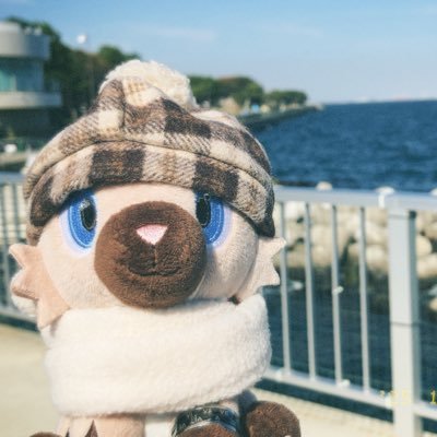 RockruffTo's profile picture. コーヒー好きのイワンコ「ロッケン」と犬好きのトレーナー「らいち」ののんびり日常  ポケモン関連のこと雑多に呟きもする