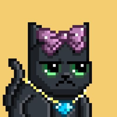 Nikkyigirl's profile picture. Black Bull🖤