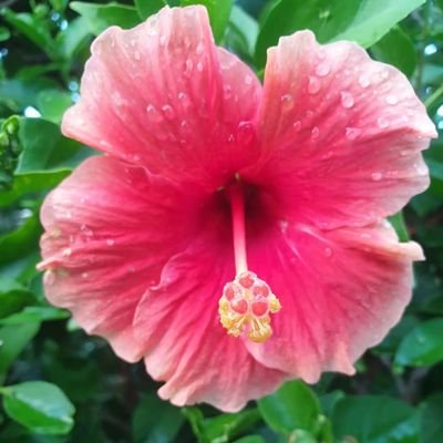 raceygirlll's profile picture. idk old acc got hacked 🙄