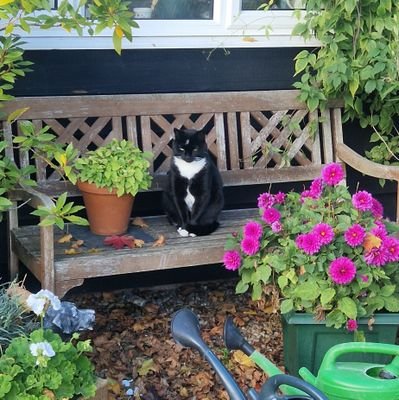 bonniebluebell2's profile picture. aesthete ...... and may tweet cr*p often ... #notalonetherethen 🙃
🐶🐏🐑🐈🐎🐦 🐈#NHS 💙 #afcb ⚽️
views my own