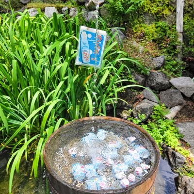 6e0278web's profile picture. 2020.4.1制作会社入社|2023.03.19独立|制作会社 業務委託3社|コーダー・デザイナーを経験後、ディレクターとして活動中|ディレクターとしての知見を深めるため、webデザインあらためて学習中📚コーディングのお仕事も依頼承っております。ご連絡はDMにて✉️