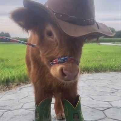 earthly09's profile picture. WooHee