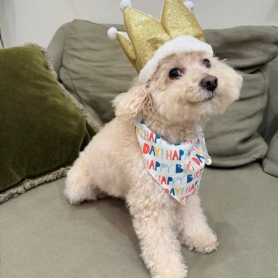 nsyhaha's profile picture. ชาเขียวปั่นเพิ่มวิปครีม🍵