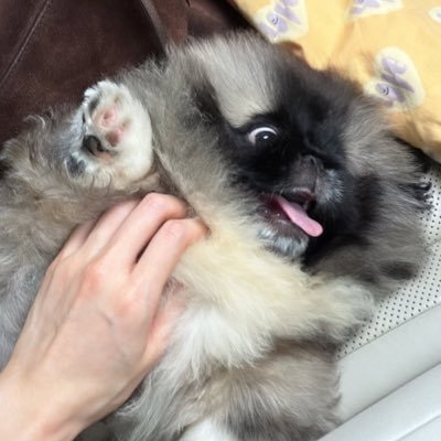 nqiaw's profile picture. ˗ˏˋ 𝒑𝒑𝒌𝒓𝒊𝒕𝒕 | 𝒃𝒊𝒍𝒍𝒌𝒊𝒏 | 𝒋𝒂𝒆𝒎𝒊𝒏 ˎˊ˗ 🐈 𓈒 𓂂🧁🪄