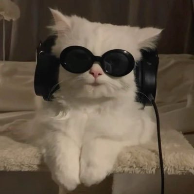 ccozzyplaces's profile picture. here for aus n nothing else. minor dni 🚫