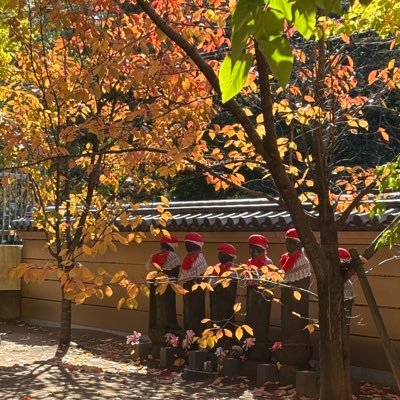 bunkalife1117's profile picture. 健康で文化的な暮らしを求めていったん無職になる道民/バックパッカー、旅人/ 田舎暮らし/ シェアハウス/温泉、銭湯、サウナ/読書/スキー / 雪国