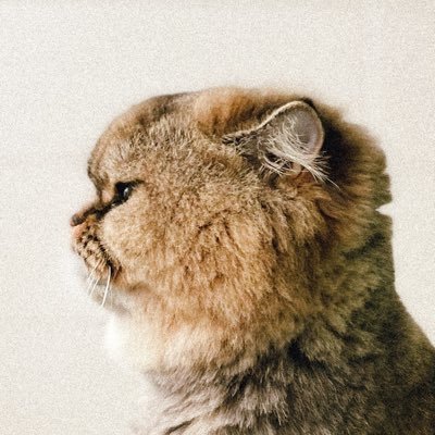 sweetsmile309's profile picture. I'm Thai SONE. ♥309 || TAEYEON 💜 || 소녀시대 || Writer || Seulgi || TaeNy || SeulRene|| #ฟรีนเบค || #srchafreen 🐰🌷|| #GIRLFREEN 🏡 || Manchester United #mufc