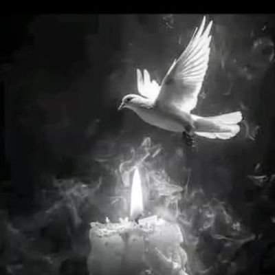 macky_1129's profile picture. Plain and simple...