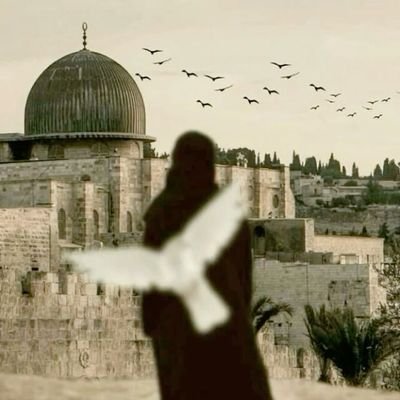 nokia_9_11's profile picture. { فَاعْلَمْ أَنَّهُ لَا إِلَهَ إِلَّا اللَّهُ وَاسْتَغْفِرْ لِذَنْبِكَ }
    _   الحمد لله 
هي شدة يأتي الرخاء عقيبها 
''وأسى يبشر بالسرور العاجلِ