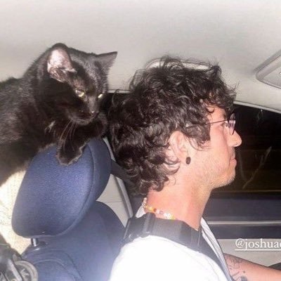 intentyler's profile picture. we want you home in one piece now