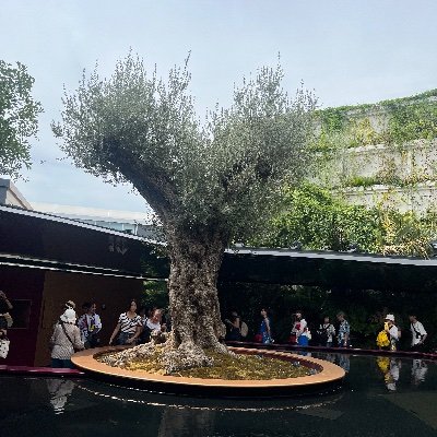 sinnosan1123's profile picture. 