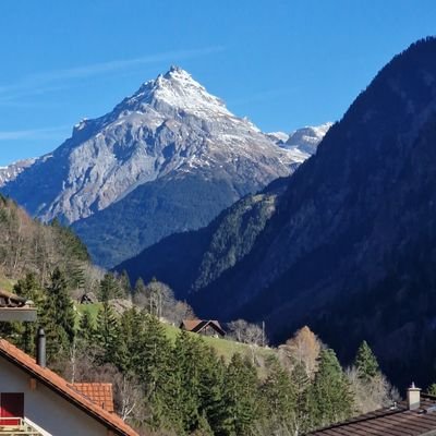 Lilly2346098's profile picture. 