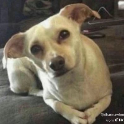 torquevoid's profile picture. Tie the bunny ears tight and the double knot loose.