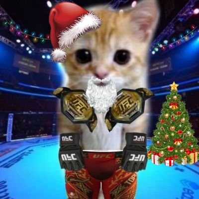 SleepyCatMMA's profile picture. 18 | Ilia Topuria's #1 fan | MMA & Combat Sports fan🥊 | lover of cats 🐱 & all things cute and cuddly 🥰