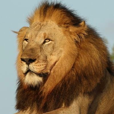 fikri_irsy47012's profile picture. 