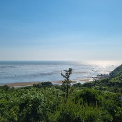 qowndyd's profile picture. IT Database 엔지니어, 386세대, 80년대 민주화운동, 적폐청산,
국민학교시절 학급65명, - 취미:클래식기타, 우주관측, 시간여행