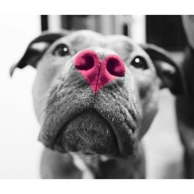 Belle_XsCrib's profile picture. Who's ready to dive deeper? 💪🤤😂💬 
Session: 05e496f919bd049433dcd7864e96957673d0c40a28965da6c13f41a60a38235227
🔞 Feel free to ask for my menu!☺️