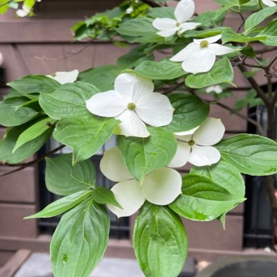 Terri5963189723's profile picture. 