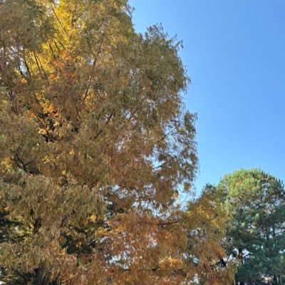 monika_0606's profile picture. 趣味（バイク）。猫を少々。