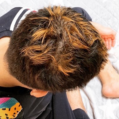 potechi_xxxo's profile picture. プディングハムスターのぽてちくん🐹やんちゃな男の子です🐾YouTubeチャンネルもぜひご覧ください！