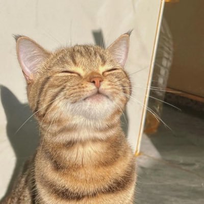 lchxct10254423's profile picture. 冲5000～🇨🇳黄赌毒勿扰