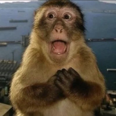 Pickaxeee's profile picture. swiss | nate | @Scoundrels_Es player