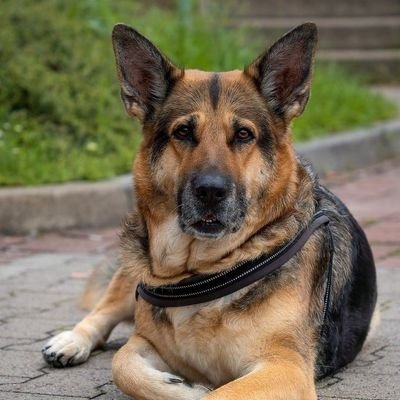 hannah138h's profile picture. 