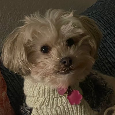 50GMV's profile picture. 