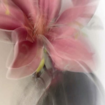 njuode's profile picture. حيث يمتت لي وطن، لكني أحن الى النخيل 🌴