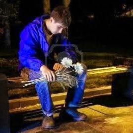 JawaniMast's profile picture. تنہا پرندہ دل میں طوفان لیے بیٹھا ہے 🥀