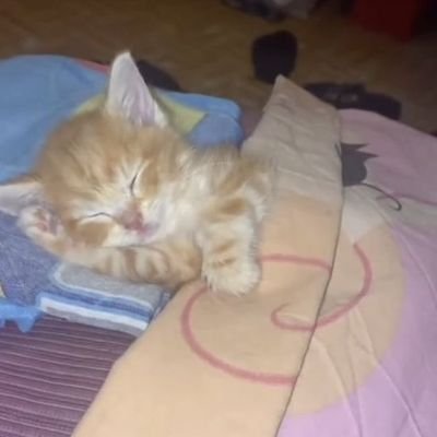 eyckmz's profile picture. 