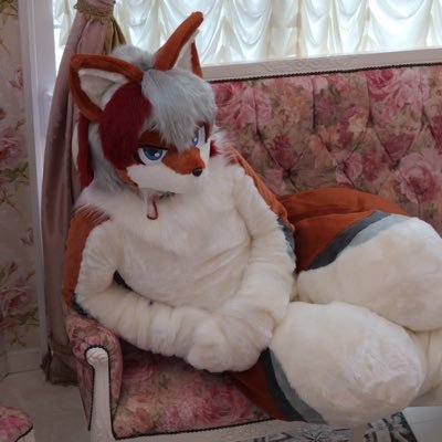 houzi_fox's profile picture. メスケモの褒姒（ほうじ）と紫霄（ししょう）。オスケモの柊聖（しゅうせい）と黒眚（しい）、夕霧（ゆうぎり）、鵺（ぬえ）のオーナー饕餮（とうてつ）です。よろしくお願いします ヘッダーはネクさん（@AZUMADRAGONS） 2025年６月夕霧くん。2025年8月鵺くん。2025年9月伽羅奢お迎えしました。大家族へ