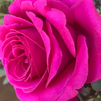 JaneHedrickx's profile picture. RN, BSN. Energy Medicine, Art.