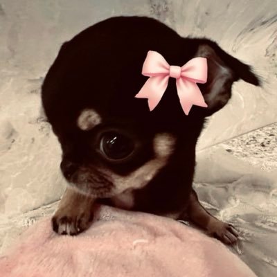 cutesyful's profile picture. ⠀⠀꒰ ♡🧷 : film , archive , book , #Me ！