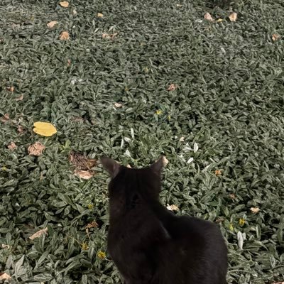 untitledblog06's profile picture. 