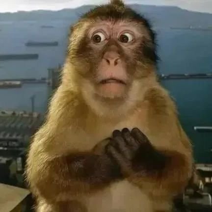 selenz58's profile picture. ⃝⃝
────୨ৎ────
🤍ྀི