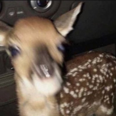 saurphee's profile picture. 