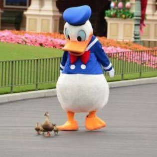 tete11566922's profile picture. 