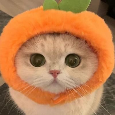 apikanokpa47672's profile picture. 