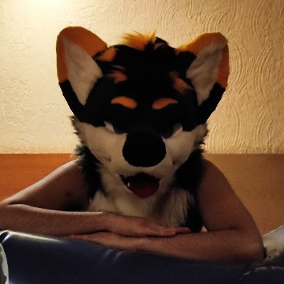 SqueakyRawinu's profile picture. 🔞 | just the squeaky side from a shibawolf | 20 | inflatables and something more 🐾 | taken by a wolfie (closed) 🐺🤍
