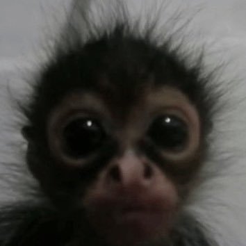 BabbleK__'s profile picture. Just a simple wanderer.