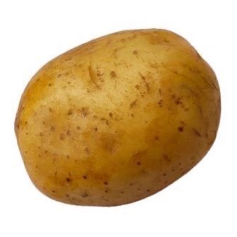 10101010lolol's profile picture. 