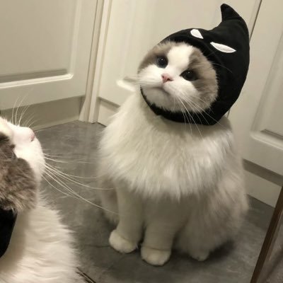 watanabenabi's profile picture. LYKNEST | คุณวันเสาร์🪐💜