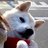 kuucha822's profile image